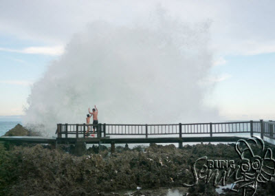 Bali, Griyawisata.Com -- Pulau Bali memang selalu saja menyimpan sesuatu yang unik untuk dikunjungi. Salah satunya di sudut Nusa Dua di ujung Selatan pulau dewata ini atau sekitar 40 kilometer dari kota Denpasar. ‘Daerah kantong’ di wilayah yang terkenal dengan deretan hotel-hotel berbin..